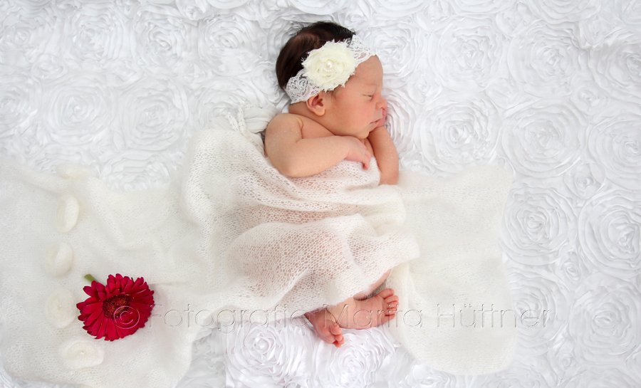 neugeborenes Baby, Babyfotografie Heilbronn, Shooting Neugeborenes, Baby, kleines Baby, schöne Babyfotos, Fotoshooting Baby, Babyfotografin, Babyfotoshooting, Shooting Kinder und Familie, Fotografie Marita Hüttner, Sinsheim, Mosbach, Bietigheim, Ilsfeld, Lauffen, Eppingen, Kraichtal, Bretten, Bruchsal, Bretzfeld, Brackenheim, Bönnigheim, Öhringen, Neuenstadt, Neckarsulm, Neudenau, Bad Friedrichshall, Bad Wimpfen, Bad Rappenau, 