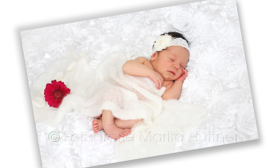 schlafendes Baby, Baby, kleines Baby, schöne Babyfotos, Babyfotografie Heilbronn, Fotoshooting Baby, Babyfotografin, Babyfotoshooting, Shooting Kinder und Familie, Fotografie Marita Hüttner, Sinsheim, Mosbach, Bietigheim, Ilsfeld, Lauffen, Eppingen, Kraichtal, Bretten, Bruchsal, Bretzfeld, Brackenheim, Bönnigheim, Öhringen, Neuenstadt, Neckarsulm, Neudenau, Bad Friedrichshall, Bad Wimpfen, Bad Rappenau, 