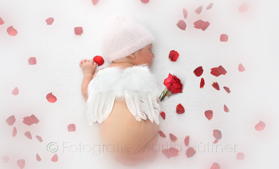 Baby mit Blumen, Baby, kleines Baby, schöne Babyfotos, Fotoshooting Baby, Babyfotografin, Babyfotoshooting, Shooting Kinder und Familie, Fotografie Marita Hüttner, Babyfotografie Heilbronn, Sinsheim, Mosbach, Bietigheim, Ilsfeld, Lauffen, Eppingen, Kraichtal, Bretten, Bruchsal, Bretzfeld, Brackenheim, Bönnigheim, Öhringen, Neuenstadt, Neckarsulm, Neudenau, Bad Friedrichshall, Bad Wimpfen, Bad Rappenau, 