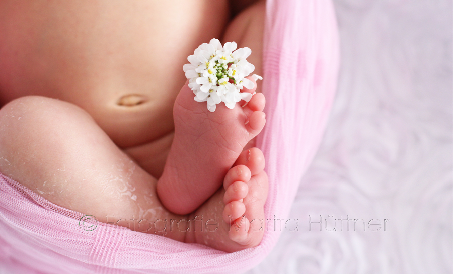 Baby, kleines Baby, schöne Babyfotos, Fotoshooting Baby, Babyfotografin, Babyfotoshooting, Shooting Kinder und Familie, Fotografie Marita Hüttner, Babyfotografie Heilbronn, Sinsheim, Mosbach, Bietigheim, Ilsfeld, Lauffen, Eppingen, Kraichtal, Bretten, Bruchsal, Bretzfeld, Brackenheim, Bönnigheim, Öhringen, Neuenstadt, Neckarsulm, Neudenau, Bad Friedrichshall, Bad Wimpfen, Bad Rappenau, 