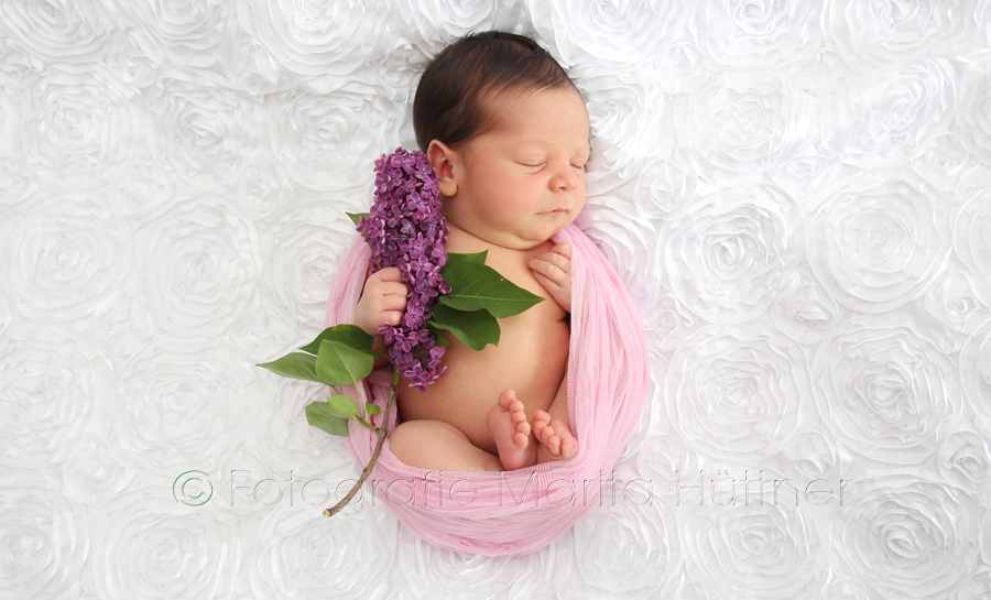 professionelle Babyfotos, Babyfotografie Heilbronn, Baby, kleines Baby, schöne Babyfotos, Fotoshooting Baby, Babyfotografin, Babyfotoshooting, Shooting Kinder und Familie, Fotografie Marita Hüttner, Sinsheim, Mosbach, Bietigheim, Ilsfeld, Lauffen, Eppingen, Kraichtal, Bretten, Bruchsal, Bretzfeld, Brackenheim, Bönnigheim, Öhringen, Neuenstadt, Neckarsulm, Neudenau, Bad Friedrichshall, Bad Wimpfen, Bad Rappenau, 