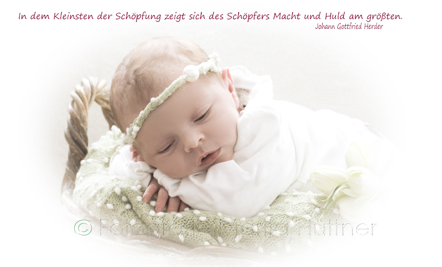 Babyfotografie Heilbronn, Babyfotograf, Babybilder, schöne Babyfotos, Babyfotos zuhause, Babyfotografin, Babyfotoshooting, Marita Hüttner, Sinsheim, Mosbach, Bietigheim, Ilsfeld, Lauffen, Eppingen, Kraichtal, Bretten, Bruchsal, Bretzfeld, Brackenheim, Bönnigheim, Öhringen, Neuenstadt, Neckarsulm, Neudenau, Bad Friedrichshall, Bad Wimpfen, Bad Rappenau, 