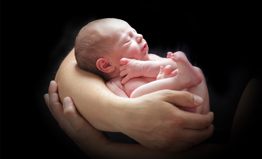 Babyfotografie Heilbronn, Papa mit Baby, Neugeborenes, Fotograf Neugeborene, Fotografin Kinder, Babyfotograf, Babybilder, schöne Babyfotos, Babyfotos zuhause, Babyfotografin, Babyfotoshooting, Marita Hüttner, Sinsheim, Mosbach, Bietigheim, Ilsfeld, Lauffen, Eppingen, Kraichtal, Bretten, Bruchsal, Bretzfeld, Brackenheim, Bönnigheim, Öhringen, Neuenstadt, Neckarsulm, Neudenau, Bad Friedrichshall, Bad Wimpfen, Bad Rappenau, 