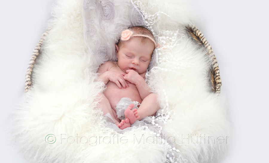 Baby im Korb, Babyfotografie Heilbronn, Foto kleines Baby, Neugeborenes, Babyfotograf, Babybilder, schöne Babyfotos, Babyfotos zuhause, Babyfotografin, Babyfotoshooting, Marita Hüttner, Sinsheim, Mosbach, Bietigheim, Ilsfeld, Lauffen, Eppingen, Kraichtal, Bretten, Bruchsal, Bretzfeld, Brackenheim, Bönnigheim, Öhringen, Neuenstadt, Neckarsulm, Neudenau, Bad Friedrichshall, Bad Wimpfen, Bad Rappenau, 