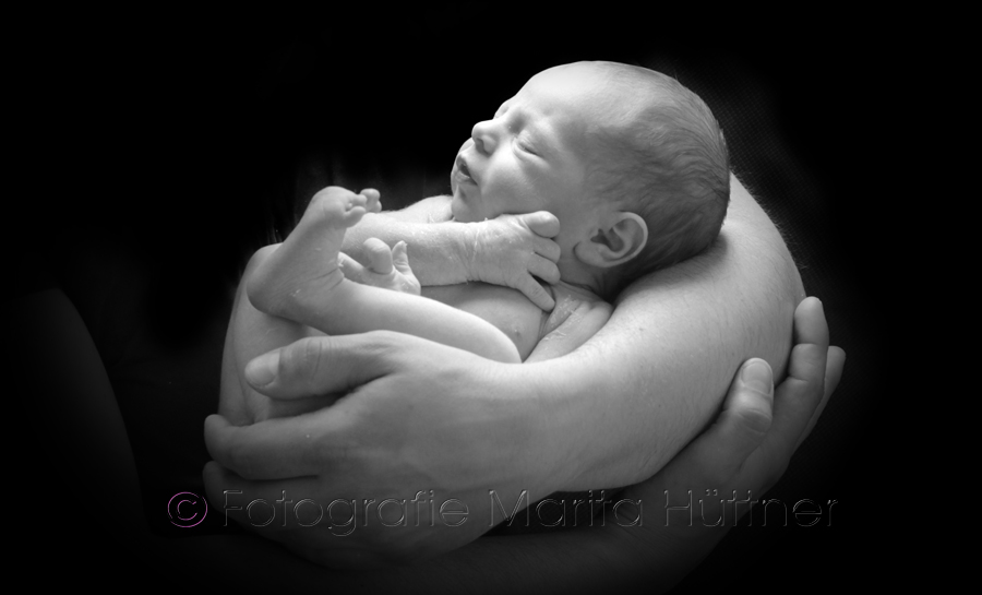 Baby schwarzweiß Foto, Babyfotograf, Babybilder, schöne Babyfotos, Babyfotos zuhause, Babyfotografin, Babyfotoshooting, Marita Hüttner, Babyfotografie Heilbronn, Sinsheim, Mosbach, Bietigheim, Ilsfeld, Lauffen, Eppingen, Kraichtal, Bretten, Bruchsal, Bretzfeld, Brackenheim, Bönnigheim, Öhringen, Neuenstadt, Neckarsulm, Neudenau, Bad Friedrichshall, Bad Wimpfen, Bad Rappenau, 