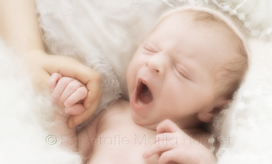 Babyfotografie Heilbronn, Neugeborenes, Fotograf für Neugeborene, Babyfotograf, Babybilder, schöne Babyfotos, Babyfotos zuhause, Babyfotografin, Babyfotoshooting, Marita Hüttner, Sinsheim, Mosbach, Bietigheim, Ilsfeld, Lauffen, Eppingen, Kraichtal, Bretten, Bruchsal, Bretzfeld, Brackenheim, Bönnigheim, Öhringen, Neuenstadt, Neckarsulm, Neudenau, Bad Friedrichshall, Bad Wimpfen, Bad Rappenau, 