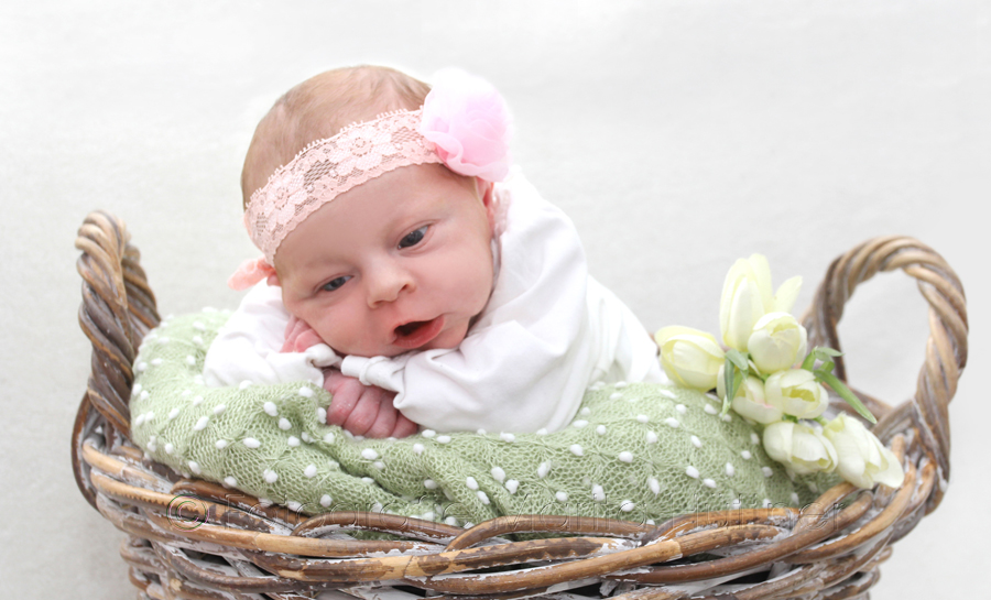 Babyfotografie Heilbronn, kleines Baby Foto, Neugeborenen Shooting, Babyshooting, Babyfotograf, Babybilder, schöne Babyfotos, Babyfotos zuhause, Babyfotografin, Babyfotoshooting, Marita Hüttner, Babyfotografie Sinsheim, Mosbach, Bietigheim, Ilsfeld, Lauffen, Eppingen, Kraichtal, Bretten, Bruchsal, Bretzfeld, Brackenheim, Bönnigheim, Öhringen, Neuenstadt, Neckarsulm, Neudenau, Bad Friedrichshall, Bad Wimpfen, Bad Rappenau, 