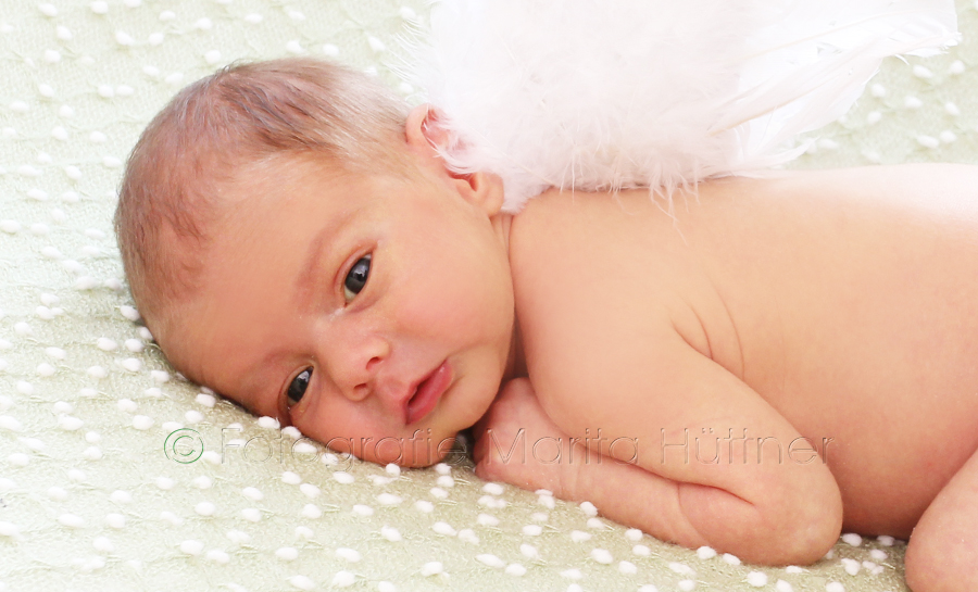 Babyfotograf, Babybilder, schöne Babyfotos, Babyfotos zuhause,  Babyfotografin, Babyfotoshooting, Marita Hüttner, Babyfotografie Heilbronn, Babyfotografie Sinsheim, Mosbach, Bietigheim, Ilsfeld,  Lauffen, Eppingen, Kraichtal, Bretten, Bruchsal, Bretzfeld, Brackenheim, Bönnigheim,  Öhringen, Neuenstadt, Neckarsulm, Neudenau, Bad Friedrichshall, Bad Wimpfen, Bad Rappenau, 