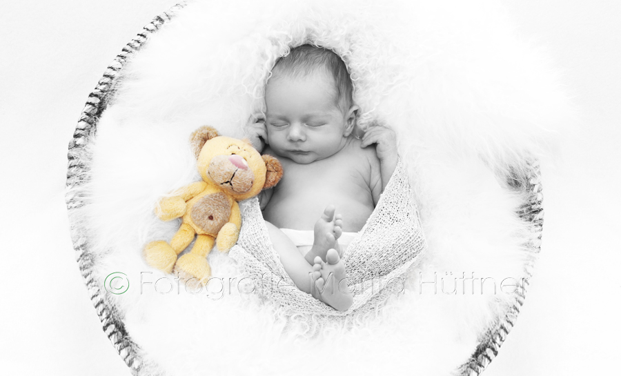 Baby im Korb, Neugeborenes, Fotografin Neugeborene, Babyfotografin, Babybilder, schöne Babyfotos,  Babyfotos zuhause, Babyfotografin, Babyfotoshooting, Marita Hüttner, Babyfotografie Sinsheim, Mosbach, Babyfotografie Heilbronn, Bietigheim, Ilsfeld, Lauffen, Eppingen, Kraichtal, Bretten, Bruchsal, Bretzfeld, Brackenheim, Bönnigheim,  Öhringen, Neuenstadt, Neckarsulm, Neudenau, Bad Friedrichshall, Bad Wimpfen, Bad Rappenau, 