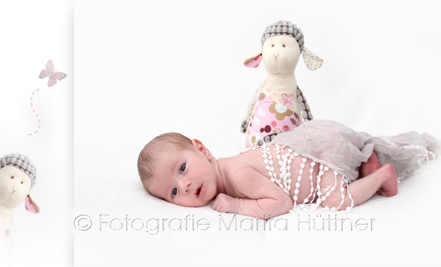 Babyfotos, Babyfotografie, Babybilder, Babyshooting, Fotoshooting daheim,  Fotoshooting zuhause, Neugeborene, Fotoshooting neugeborene Babys,  Marita Hüttner, Babyfotografie Heilbronn, Sinsheim, Mosbach, Bietigheim, Ilsfeld,  Lauffen, Eppingen, Kraichtal, Bretten, Bruchsal, Bretzfeld, Brackenheim,  Bönnigheim, Öhringen,  Neuenstadt, Neckarsulm, Neudenau, Bad Friedrichshall,  Bad Wimpfen, Bad Rappenau, 