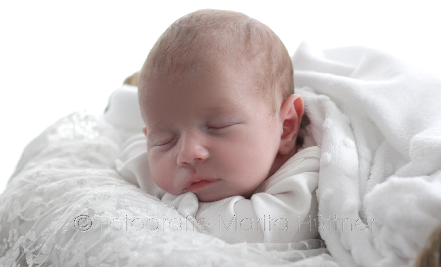 Babyfotos, mobile Babyfotografin, Babybilder, Babyshooting, Fotoshooting,  Neugeborene, Marita Hüttner,  Fotoshooting neugeborene Babys, Sinsheim, Mosbach,  Bietigheim, Ilsfeld, Lauffen, Babyfotografie Heilbronn,  Eppingen, Kraichtal, Bretten, Bruchsal, Bretzfeld, Brackenheim, Bönnigheim,  Öhringen, Neuenstadt, Neckarsulm, Neudenau, Bad Friedrichshall, Bad Wimpfen, Bad Rappenau, 
