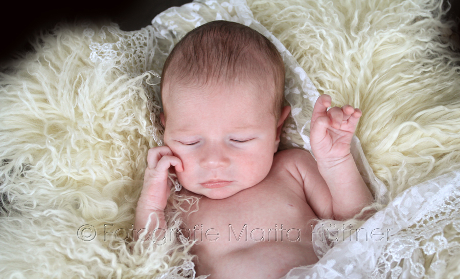 Babyfotograf, Babyfotografie, Babybilder, Babyshooting, Fotoshooting,  Neugeborene, Fotoshooting neugeborene Babys, Marita Hüttner,  Sinsheim, Mosbach, Bietigheim, Ilsfeld, Babyfotografie Heilbronn,  Lauffen, Eppingen, Kraichtal, Bretten, Bruchsal,  Bretzfeld, Brackenheim, Bönnigheim,  Öhringen, Neuenstadt, Neckarsulm, Neudenau,  Bad Friedrichshall, Bad Wimpfen, Bad Rappenau, 