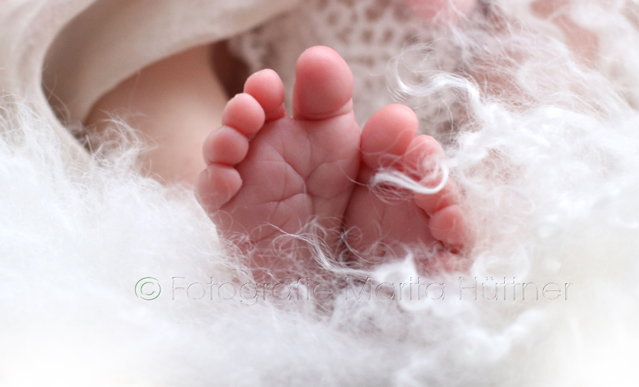 Babybilder, Babyfotoshooting, Babyfotos,  Babyshooting, Fotoshooting, Neugeborene,  Fotoshooting neugeborene Babys,  Fotografin Sinsheim, Eppingen, Kraichtal, Bretten, Bruchsal, Bretzfeld,  Babyfotografie Heilbronn, Brackenheim, Bönnigeheim, Öhringen, Neuenstadt,  Neckarsulm, Mosbach, Bad Friedrichshall, Bad Wimpfen, Bad Rappenau, 