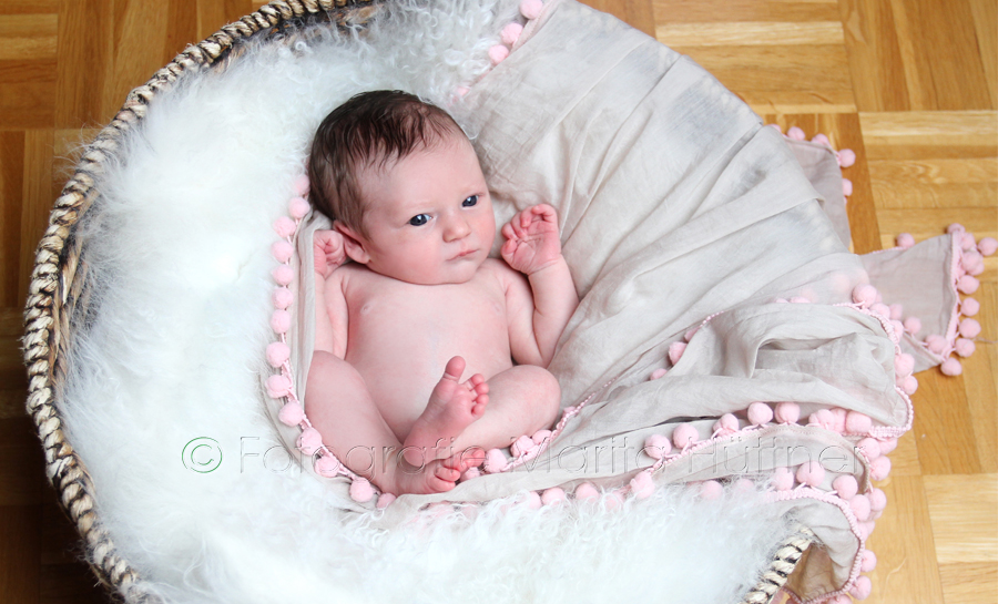 Babyfotos, Babyfotograf, Babybilder, Babyshooting,  Kinderfotos, Kinderfotograf, Fotoshooting, Neugeborene,  Fotoshooting neugeborene Babys,  Sinsheim, Eppingen, Kraichtal, Bretten, Bruchsal, Bretzfeld,  Heilbronn, Brackenheim, Bönnigeheim, Öhringen, Neuenstadt,  Neckarsulm, Bad Friedrichshall, Bad Wimpfen, Bad Rappenau, 