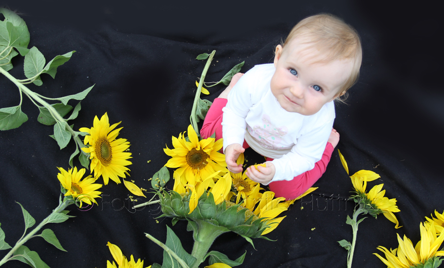 Babyfotograf, Outdoorshooting, Fotoshooting Oberderdingen, Marita Hüttner, Bretten, Eppingen, Heilbronn