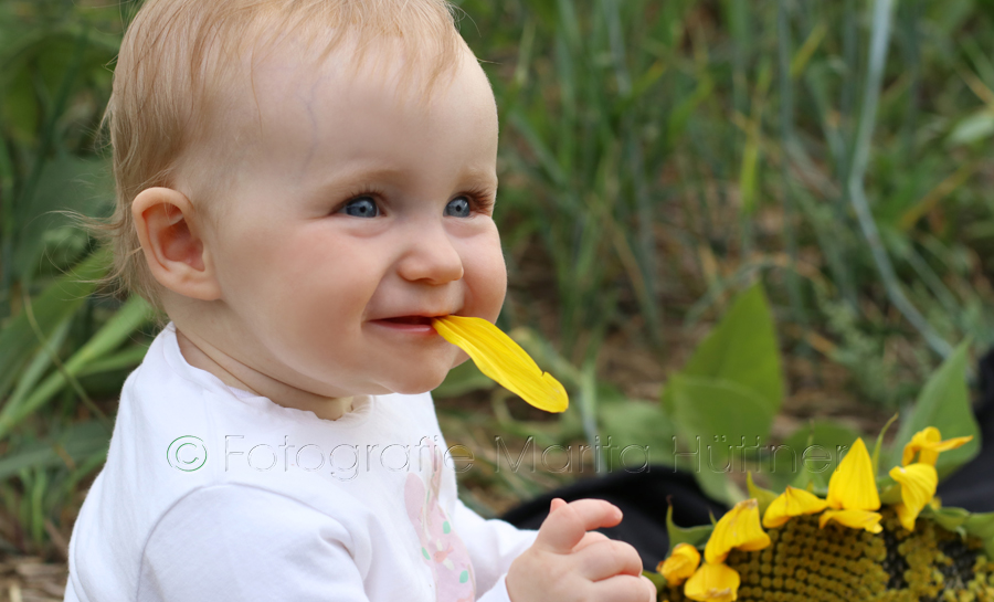Babyfotograf, Outdoorshooting, Fotoshooting Oberderdingen, Marita Hüttner, Bretten, Eppingen, Sinsheim, Bietigheim, Leingarten,  Heilbronn