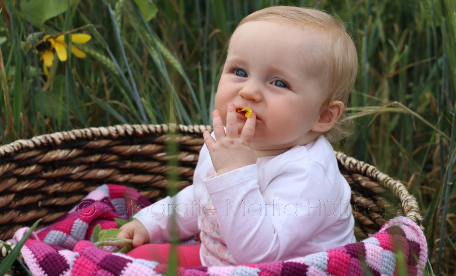 Babyfotograf, Outdoorshooting, Fotoshooting Oberderdingen, Bietigheim, Marita Hüttner, Bretten, Eppingen, Sinsheim, Mosbach Heilbronn