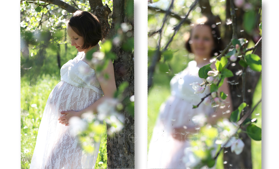 Bauchbilder, Fotoshooting Babybauch, schwanger, Bilder Schwangerschaft, Fotos Schwangerschaft, Fotografie Marita Hüttner, Heilbronn, Eppingen, Angelbachtal, Sinsheim, Bretten