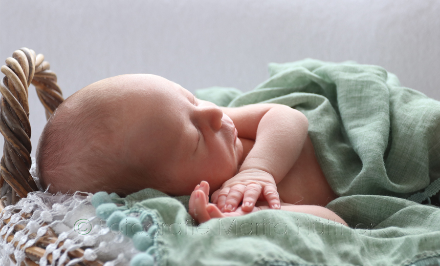 Babyfotos, Babyfotograf, Newbornfotos, Babyshooting, Babyfotoshooting, Newbornshooting, Marita Hüttner Fotografie, Eppingen, Heilbronn, Neckarsulm, Bietigheim, Schwaigern, Leingarten, Bretten, Sinsheim