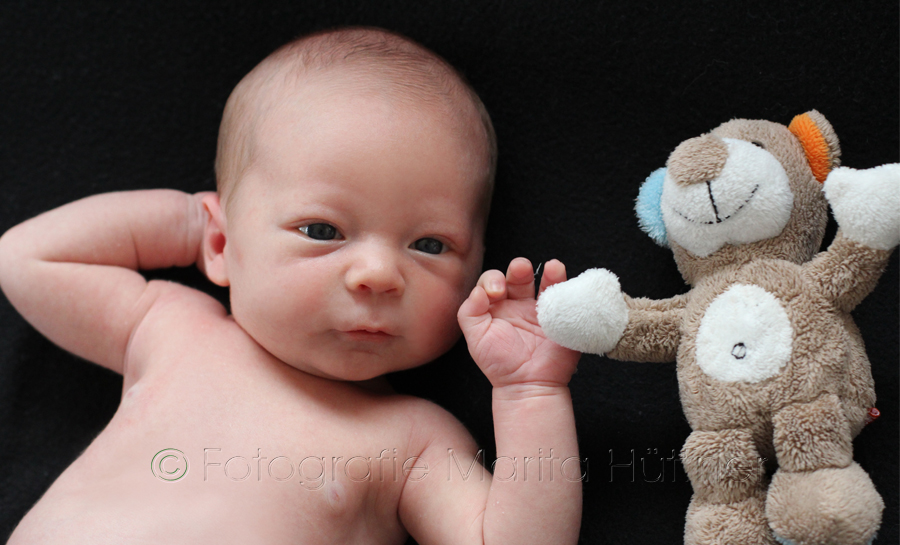 Babyfotografie Sinsheim, Babyfotos, Newbornfotos, Newbornfotograf Heilbronn, Babyfotograf Bretten, 