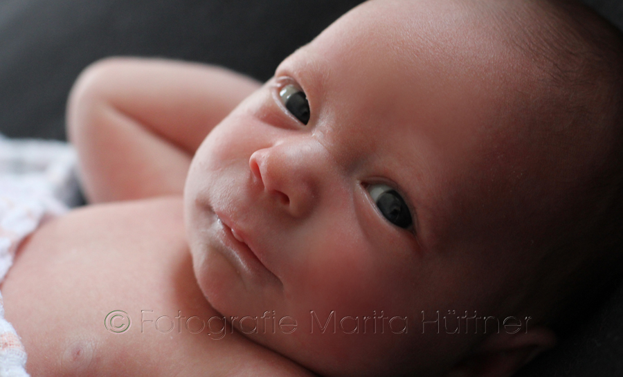 Neugeborenes Baby, Baby-Fotoshooting, Newbornfotos, Fotograf Neugeborenes, Babyfotograf Sinsheim, Babyfotos Heilbronn, Babyfotografin Eppingen, Bretten, Brackenheim, Lauffen,  