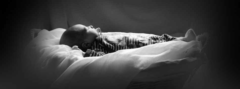 Banner 1
